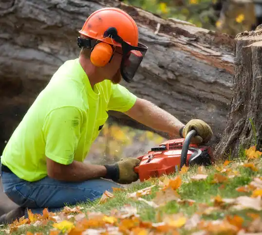 tree services Anacoco